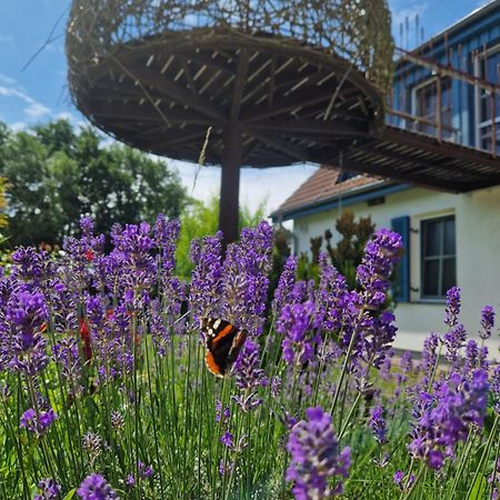 Haus Am Schilf Apartment Wieck Bagian luar foto