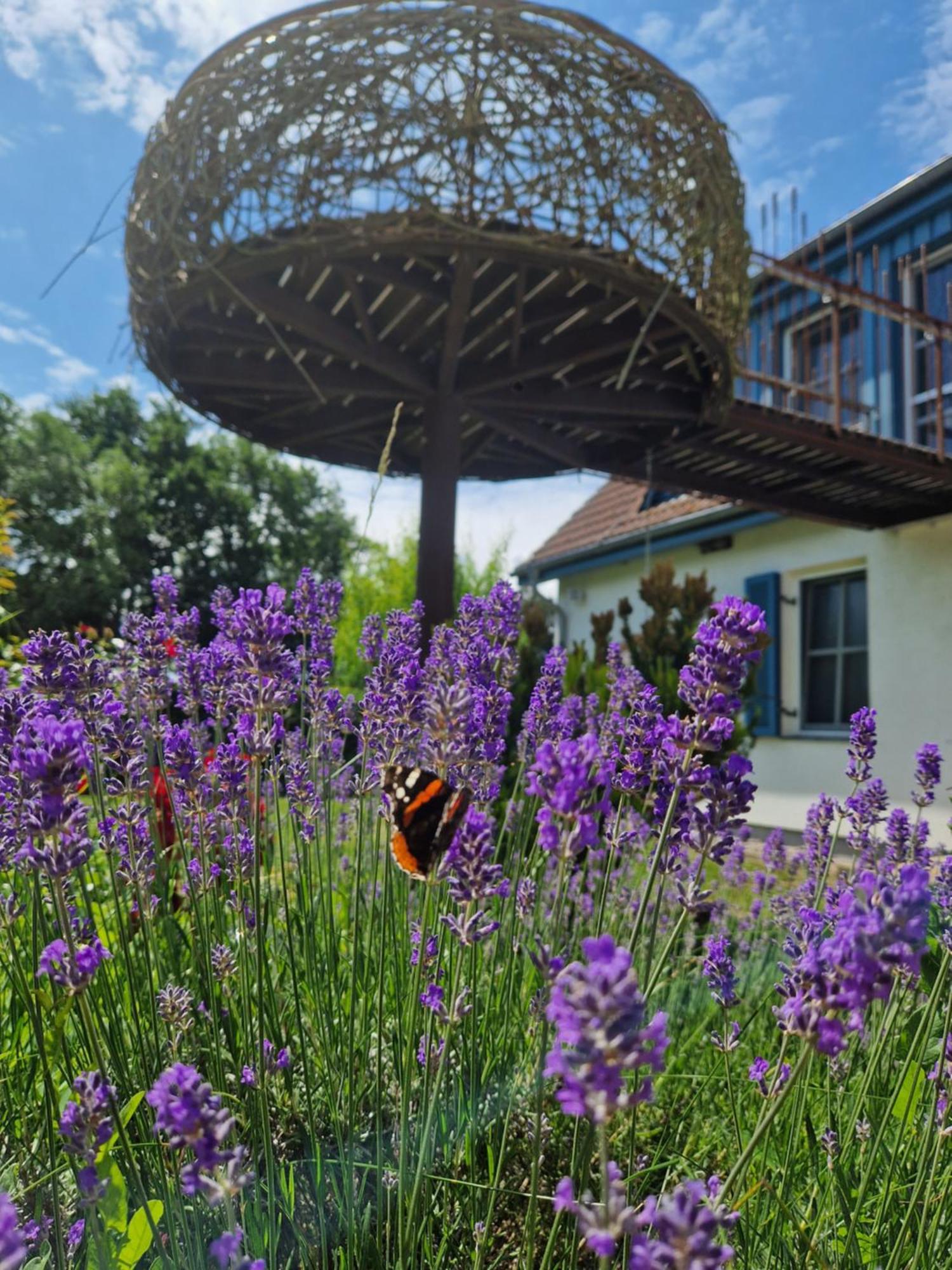 Haus Am Schilf Apartment Wieck Bagian luar foto